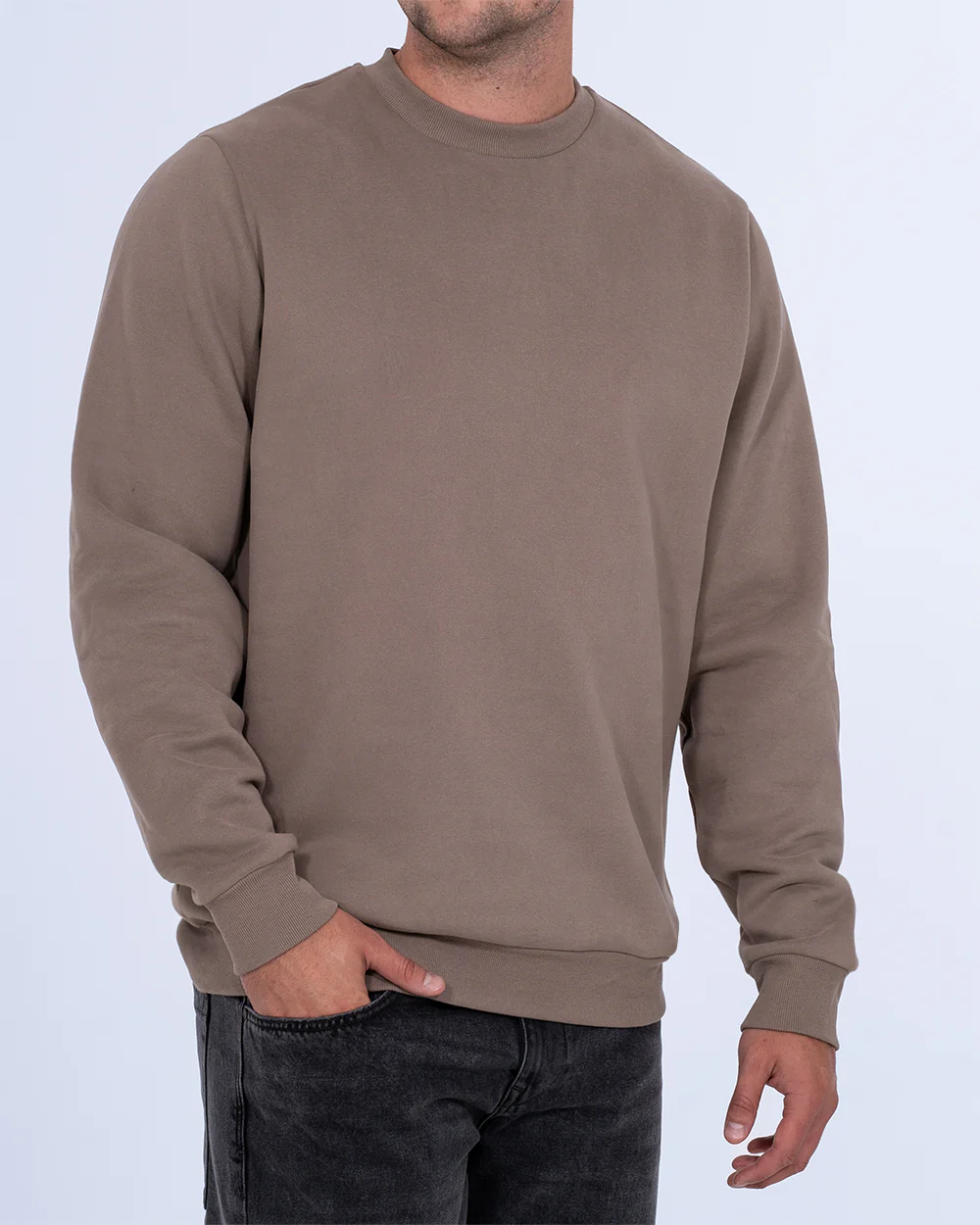 2t Hamish Tall Heavyweight Regular Fit Sweatshirt (mushroom)