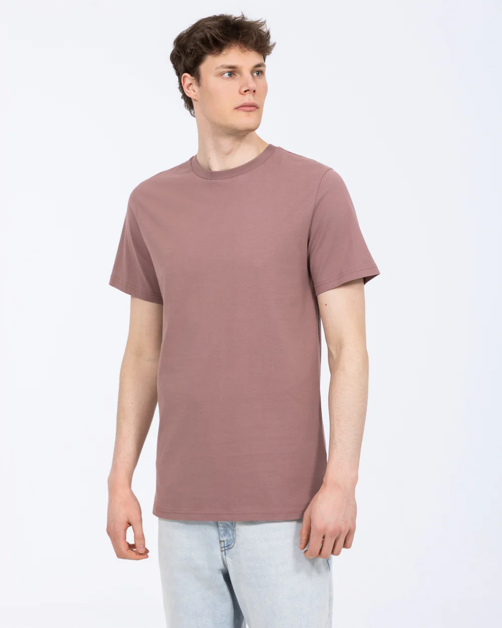 2t Lenny Tall Regular Fit Tall T-Shirt (mauve) - Image 5