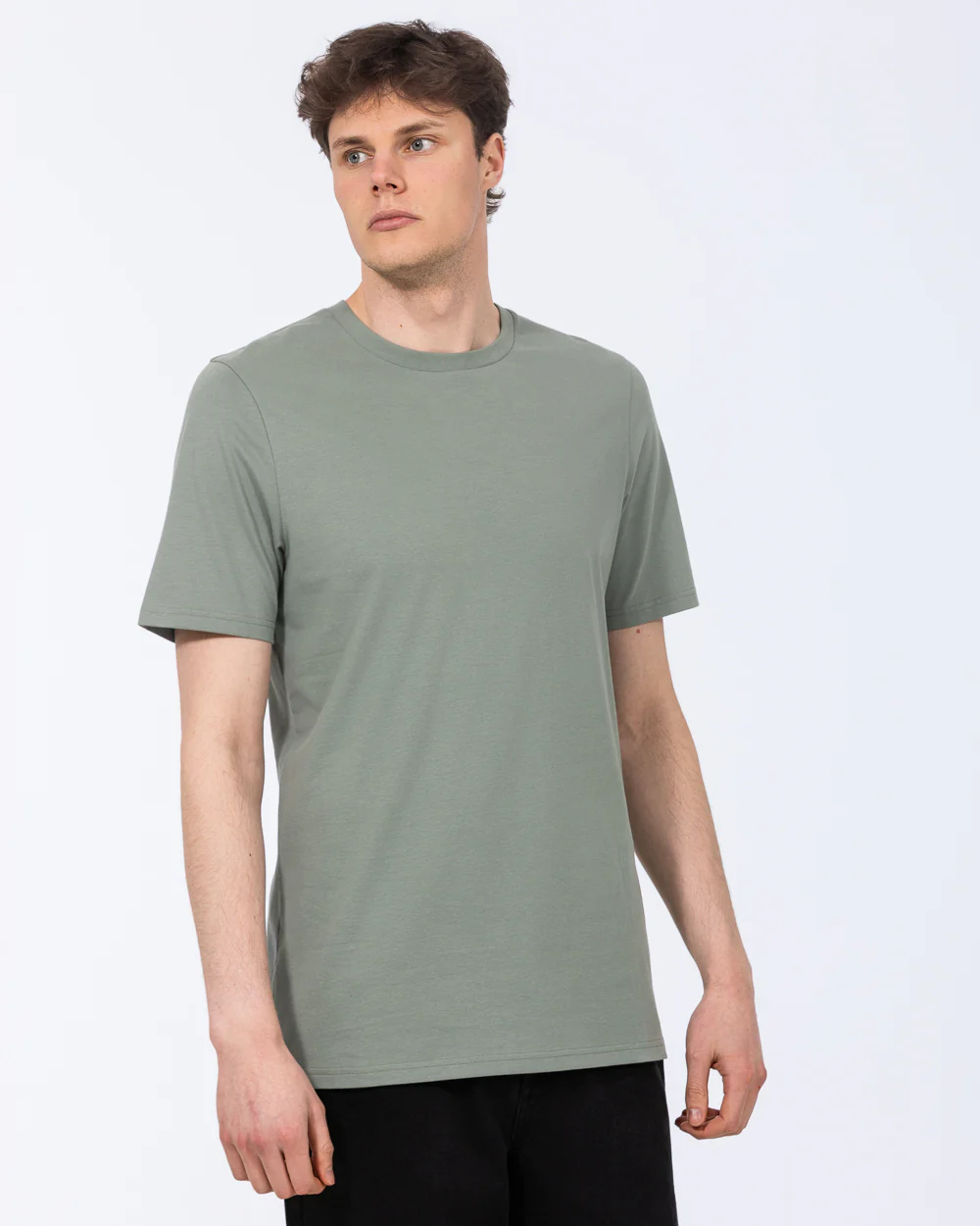 2t Liam Tall Regular Fit T-Shirt (sage) - Image 4